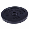 Valurautainen levypaino 5 kg, 30 mm
